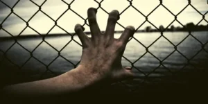 zombi dehşeti