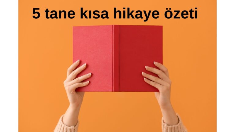 5 tane kısa hikaye özeti